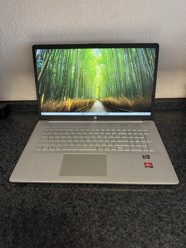 Cp0175ng ryzen 512gb - hp, 7