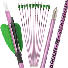 12X 31 Zoll Carbonpfeile