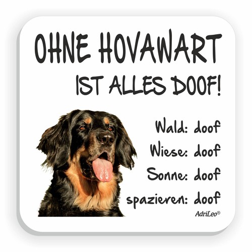 Kühlschrankmagnet ohne - kühlschrankmagnet, "ohne