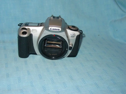 Canon eos 300 - canon,