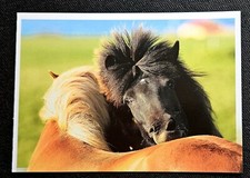 Pferdepostkarte, AK Pferde