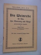 Weinrebe ihr Bau, ihre Pflanzung und Pflege Pestalozzi-Modelle Serie L Nr. 66 Bo