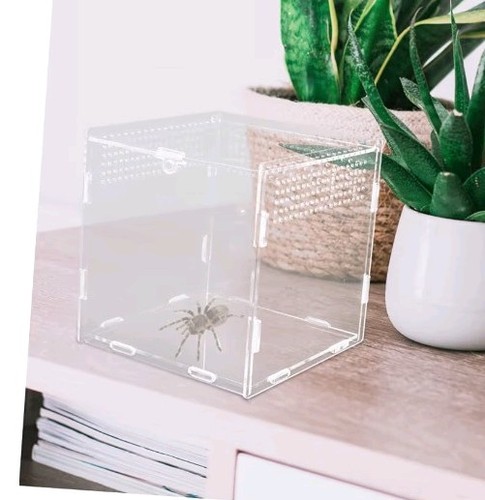 Reptilienbox