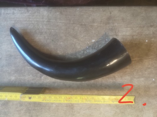 Horn rinderhorn kuhhorn - horn,,