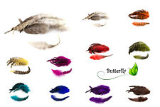 10 Hahnenfedern Chinchilla 15-20cm Vogelfedern Schmuckfedern Deko Federn Hahn 