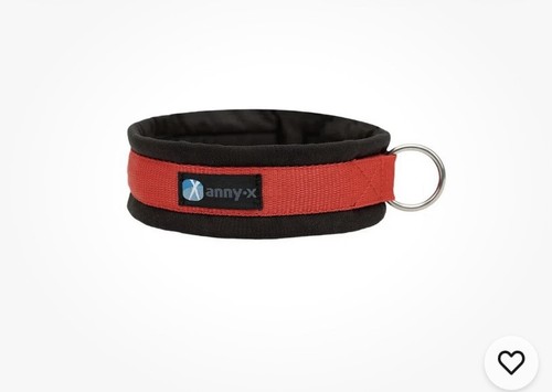 Annyx steckhalsband fun - annyx,
