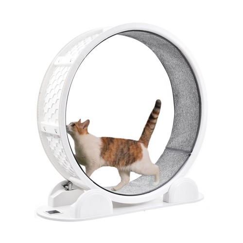 Katzenlaufrad laufrad katze - katzenlaufrad,