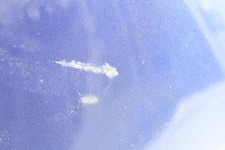 Benzintank Honda NTV 650