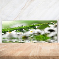 Küchenrückwand Spritzschutz