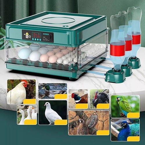 Inkubator für hatching - ei,