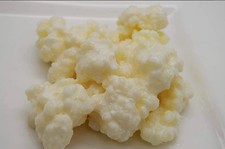 Echter Bio Milchkefir 15 g. für 8,5€, Kefirknollen, Tibetanischer Pilz, Kefir