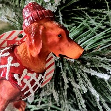 Dackel Teckel Hund Rot