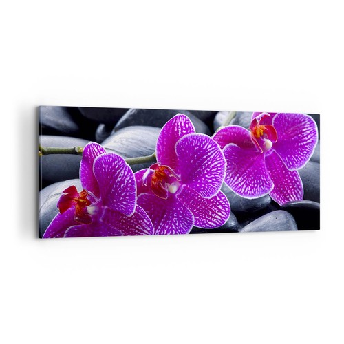 Wandbilder 120x50cm