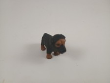 Rottweiler Dog Puppy Tiny Mini