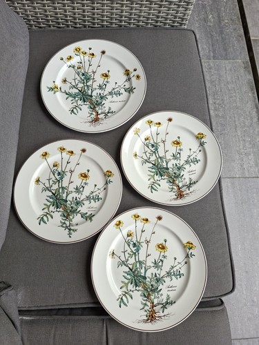 Villeroy boch botanica - &,