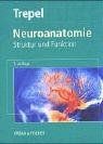 Neuroanatomie. Struktur und
