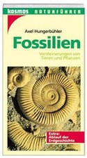 Fossilien. Versteinerungen von