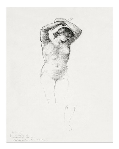 Elegante aktstudie wandkunst - elegante,