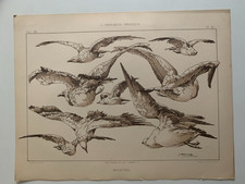 J.HABERT-DYS CHROMOLITHOGRAPHY