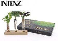 Hydrokultur Mix – Mini