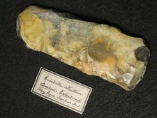 SLG JPR! SELTEN STEINBEIL DECHSEL 120mm STEINZEIT MESOLITHIKUM SILEX MAGLEMOSE K