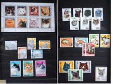 Motiv Katzen, schönes Lot aus versch. Ländern, s. Fotos