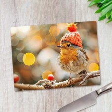 Rotkehlchen Winter Vogel