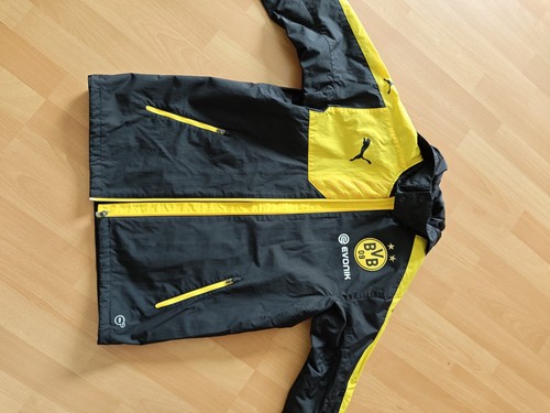 Bvb regenjacke windbreaker - bvb, regenjacke/windbreaker