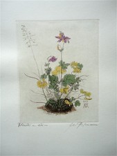 Original Radierung Kupferstich