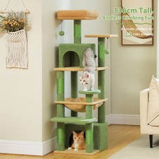 PAWZ Road Kratzbaum XXL Große
