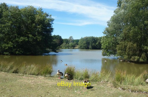 Foto 12x8 lower pond - foto,