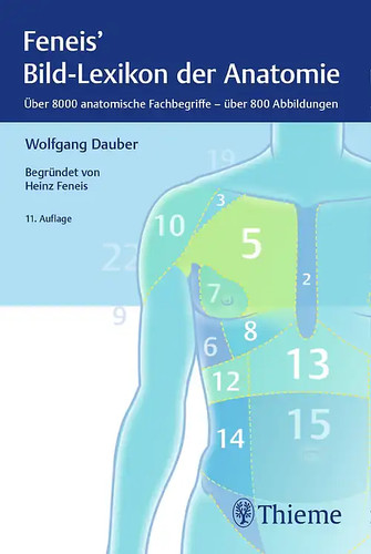 Bild lexikon der - bild-lexikon, anatomie
