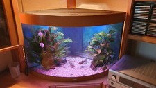 Eck-Aquarium Juwel Triton 190