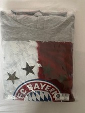 FC Bayern Herren Hoodie Fahne