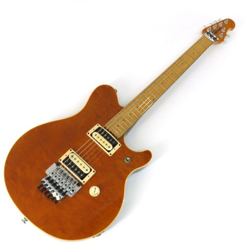 Gitarre ernie ball - e-gitarre, man