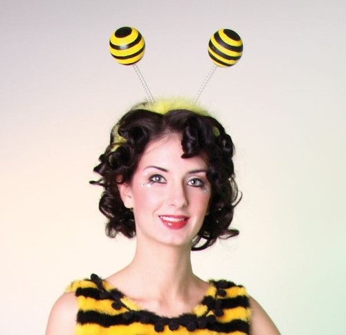 Biene hummel bienenfühler - biene,