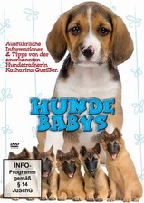 Hundebabys