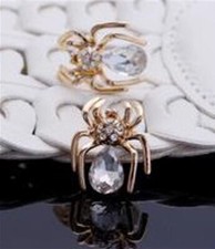 1 Paar Spinnen Ohrring