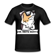 Sturer Australian Shepherd