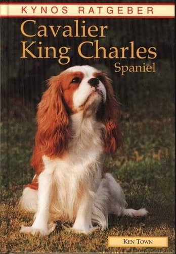 Cavalier king charles spaniel - cavalier,