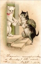 PC CATS POSTMAN CAT (a2180)