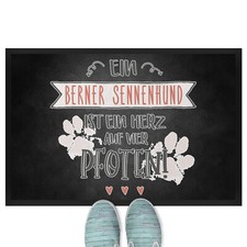 Ein Berner Sennenhund ist ein