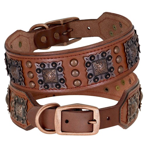 Hundehalsband aus leder - hundehalsband,