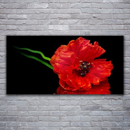 Glasbilder wandbild druck auf - glasbilder,