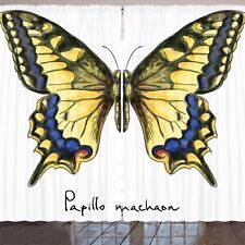 Schwalbenschwanz Schmetterling