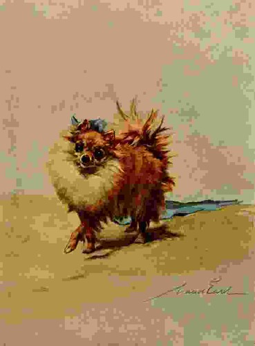 Foto graf maud 1864 1943 - maud,