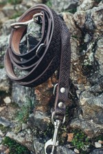 Leine oder Hundeleine aus