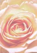 Motivpapier 210x297mm DIN A4