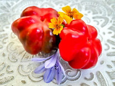 Tomatenpaprika oder Paradeisfrüchtiger aus Ungarn rot, dickfleischig, aromatisch