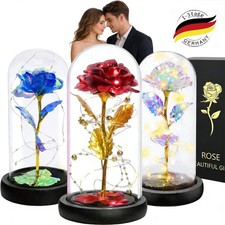 LED Ewige Rose im Glas für